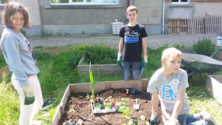Les élèves de 6ème C du collège Saint Jean ont travaillé en jardin pédagogique ont préserver la biodiversité - Labellisation Eco-Ecole - Apprentis d'Auteuil