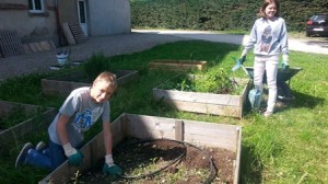 Les élèves de 6ème C du collège Saint Jean ont travaillé en jardin pédagogique ont préserver la biodiversité - Labellisation Eco-Ecole - Apprentis d'Auteuil