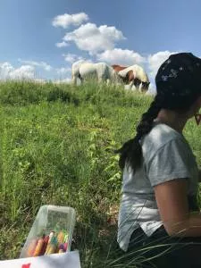 jeune fille et chevaux